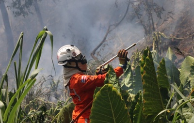 Bombeiros combatem 422 incêndios florestais nos últimos dois meses na Bahia