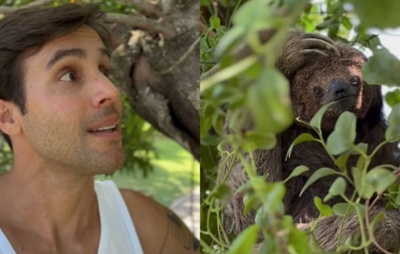 VÍDEO: Daniel Cady descobre animal silvestre vivendo na casa que tem com Ivete Sangalo