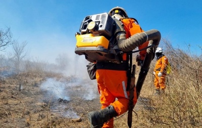 Operação Florestal debelou mais de 400 incêndios na Bahia em 2024