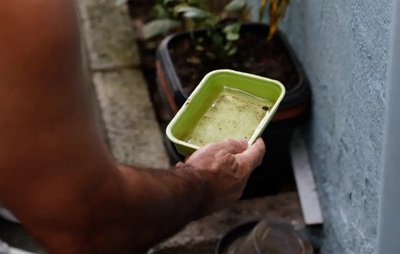 Brasil registra mais de 6,5 milhões de casos prováveis de dengue em 2024