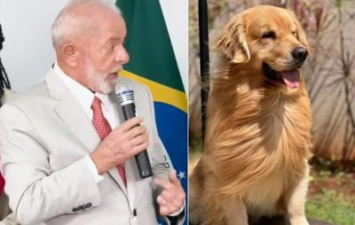 Lula cobra Gol e Anac sobre a morte do cachorro Joca