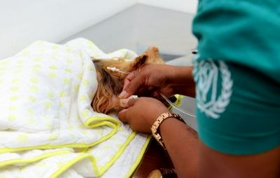 Hospital Veterinário completa um mês de inaugurado com mais de dois mil atendimentos registrados