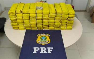 PRF apreende mais de 50kg de maconha em bagageiro de ônibus no interior da Bahia