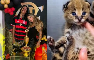 Rapper Oruam presenteia namorada com gato avaliado em R$ 120 mil