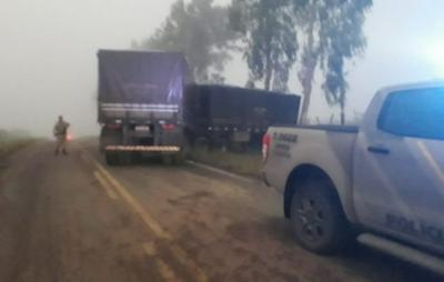 Carreta colide em barranco ao desviar de animais na BA-026