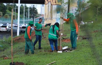 Cidadãos em Salvador poderão participar da Operação Plantio Chuva 2024