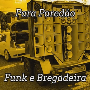 O MELHOR DO FUNK E BREGADEIRA PRA TOCAR O ANO TODO