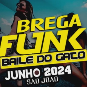 AS MAIS TOCADAS DE JUNHO DE 2024 NO BREGA FUNK LANÇAMENTOS BAILE DO GATO