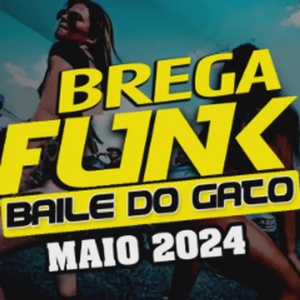 AS MAIS TOCADAS NO BREGA FUNK LANÇAMENTOS MAIO 2024 BAILE DO GATO