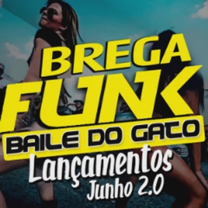 BREGA FUNK LANÇAMENTOS JUNHO 2.0 2024 BAILE DO GATO