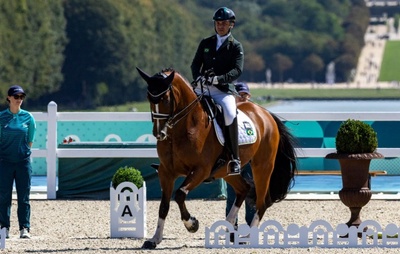 Paris-2024: Abelha atrapalha cavalo e brasileiro perde chance de medalha