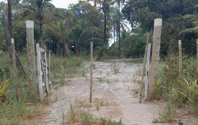 Decisão judicial garante acesso de pescadores e marisqueiras a rios e mangues da Península de Maraú